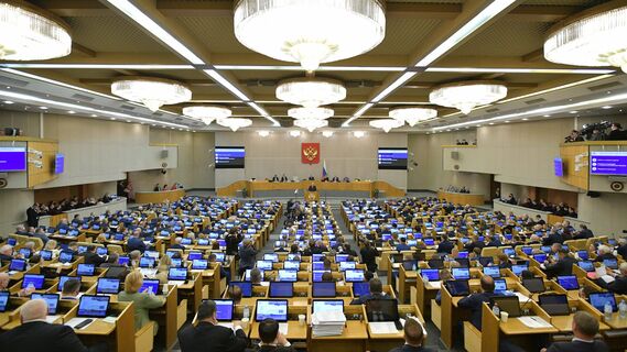 Кабмин внёс в Думу законопроект о компенсациях для спортивных школ